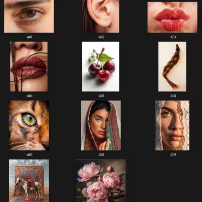 WhatsApp Image 2025-11-19 at 6.15.46 PM